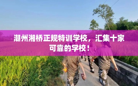 潮州湘桥正规特训学校，汇集十家可靠的学校！