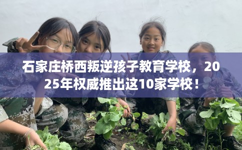 石家庄桥西叛逆孩子教育学校，2025年权威推出这10家学校！