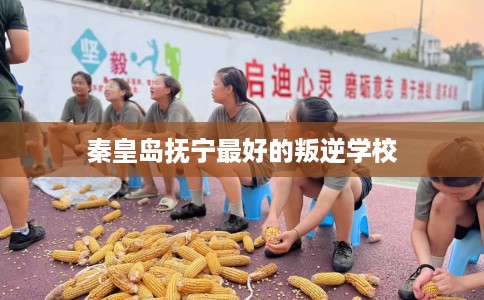 秦皇岛抚宁最好的叛逆学校