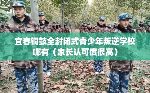 宜春铜鼓全封闭式青少年叛逆学校哪有（家长认可度很高）