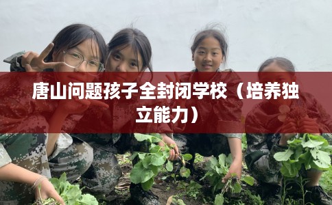 唐山问题孩子全封闭学校（培养独立能力）