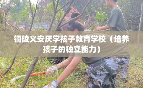 铜陵义安厌学孩子教育学校（培养孩子的独立能力）