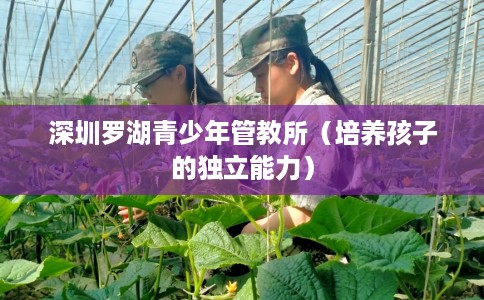 深圳罗湖青少年管教所（培养孩子的独立能力）