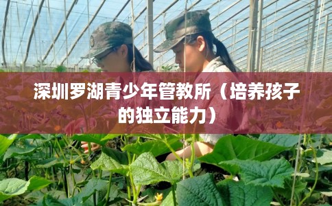 深圳罗湖青少年管教所（培养孩子的独立能力）