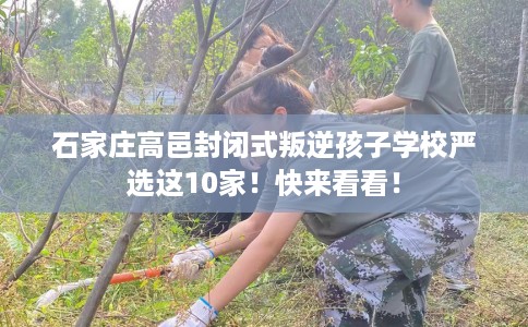 石家庄高邑封闭式叛逆孩子学校严选这10家！快来看看！