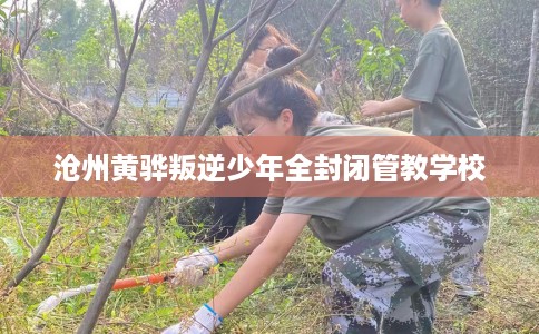 沧州黄骅叛逆少年全封闭管教学校