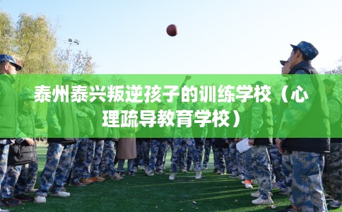 泰州泰兴叛逆孩子的训练学校（心理疏导教育学校）