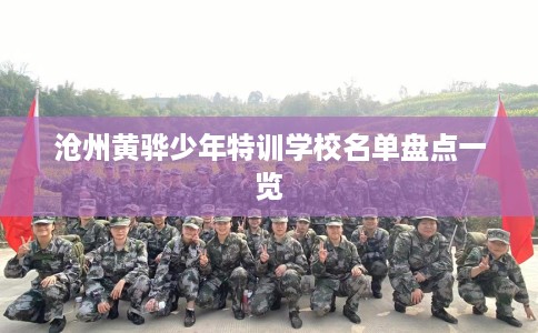 沧州黄骅少年特训学校名单盘点一览 沧州黄骅少年特训学校名单盘点一览