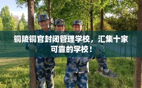 铜陵铜官封闭管理学校，汇集十家可靠的学校！