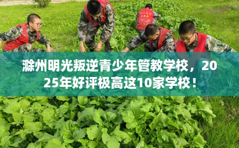 滁州明光叛逆青少年管教学校，2025年好评极高这10家学校！