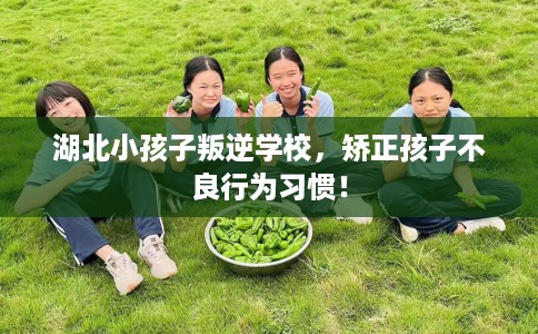 湖北小孩子叛逆学校，矫正孩子不良行为习惯！