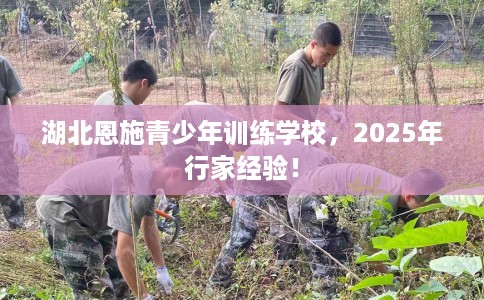 湖北恩施青少年训练学校，2025年行家经验！