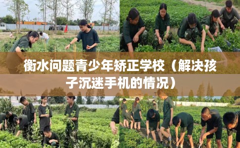 衡水问题青少年矫正学校（解决孩子沉迷手机的情况）