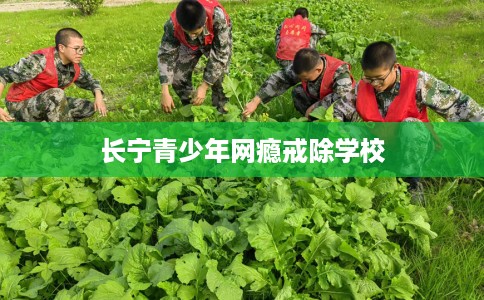 长宁青少年网瘾戒除学校