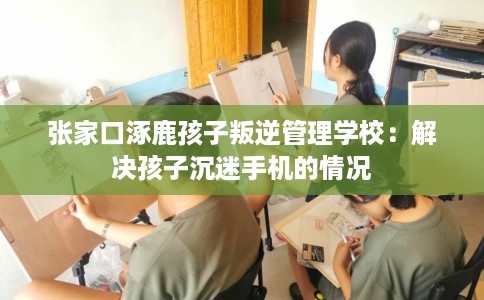 张家口涿鹿孩子叛逆管理学校：解决孩子沉迷手机的情况