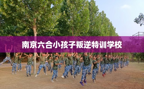 南京六合小孩子叛逆特训学校 南京六合小孩子叛逆特训学校