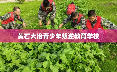 黄石大冶青少年叛逆教育学校