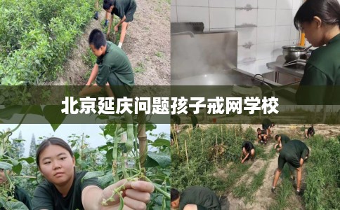 北京延庆问题孩子戒网学校