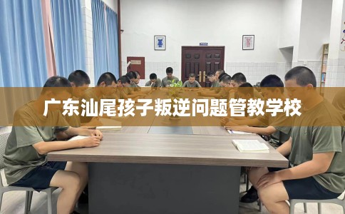 广东汕尾孩子叛逆问题管教学校