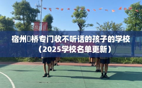 宿州埇桥专门收不听话的孩子的学校（2025学校名单更新）