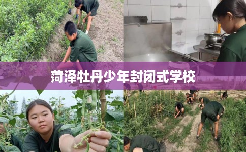 菏泽牡丹少年封闭式学校