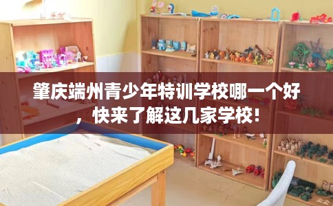 肇庆端州青少年特训学校哪一个好，快来了解这几家学校!