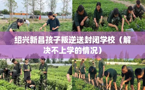绍兴新昌孩子叛逆送封闭学校（解决不上学的情况）