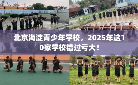 北京海淀青少年学校，2025年这10家学校错过亏大！