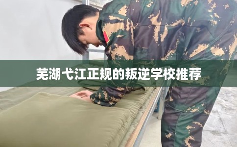芜湖弋江正规的叛逆学校推荐