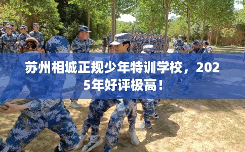 苏州相城正规少年特训学校，2025年好评极高！