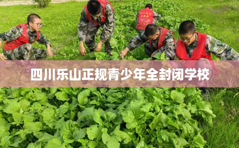 四川乐山正规青少年全封闭学校