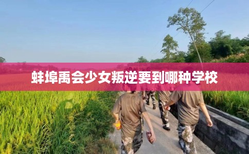 蚌埠禹会少女叛逆要到哪种学校