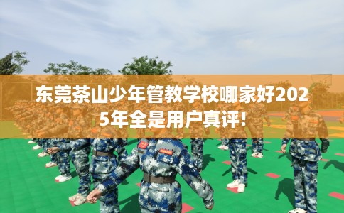 东莞茶山少年管教学校哪家好2025年全是用户真评!