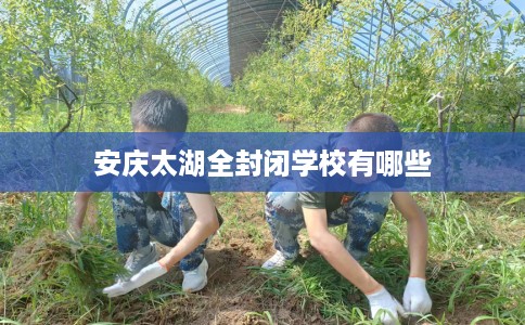 安庆太湖全封闭学校有哪些