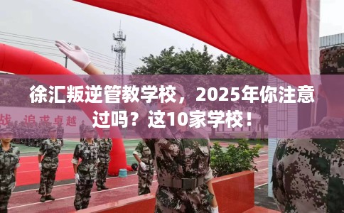 徐汇叛逆管教学校，2025年你注意过吗？这10家学校！