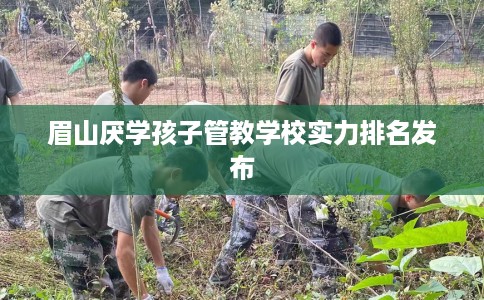 眉山厌学孩子管教学校实力排名发布