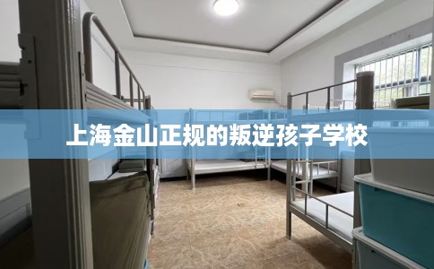 上海金山正规的叛逆孩子学校 上海金山正规的叛逆孩子学校