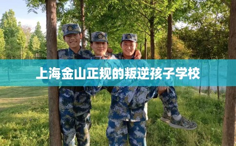 上海金山正规的叛逆孩子学校 上海金山正规的叛逆孩子学校