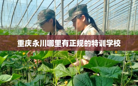 重庆永川哪里有正规的特训学校