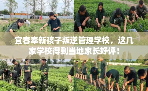 宜春奉新孩子叛逆管理学校，这几家学校得到当地家长好评！