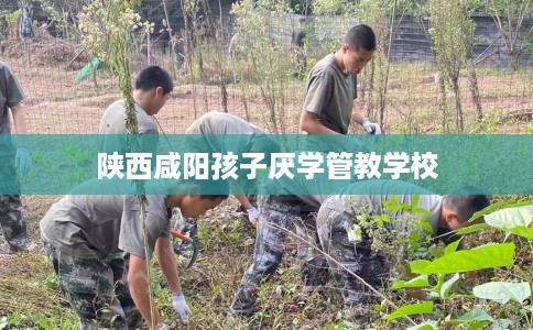 陕西咸阳孩子厌学管教学校