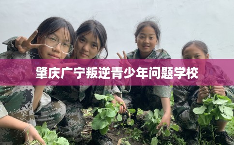 肇庆广宁叛逆青少年问题学校