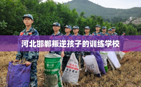 河北邯郸叛逆孩子的训练学校
