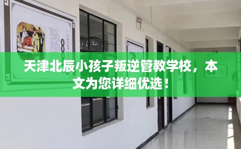 天津北辰小孩子叛逆管教学校，本文为您详细优选！