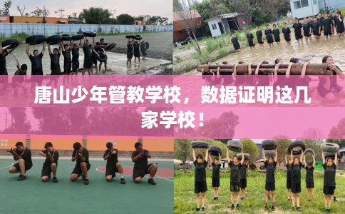 唐山少年管教学校，数据证明这几家学校！