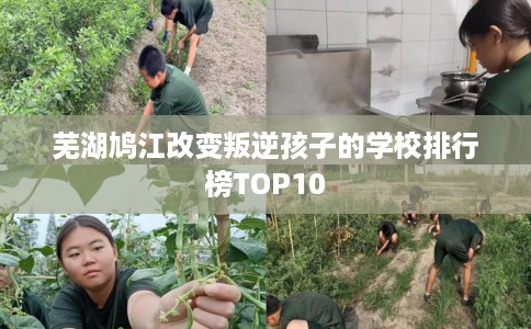 芜湖鸠江改变叛逆孩子的学校排行榜TOP10