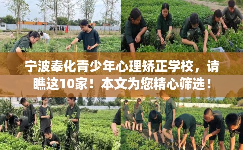 宁波奉化青少年心理矫正学校，请瞧这10家！本文为您精心筛选！