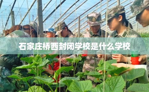 石家庄桥西封闭学校是什么学校