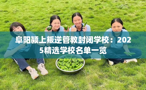 阜阳颍上叛逆管教封闭学校：2025精选学校名单一览