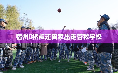 宿州埇桥叛逆离家出走管教学校